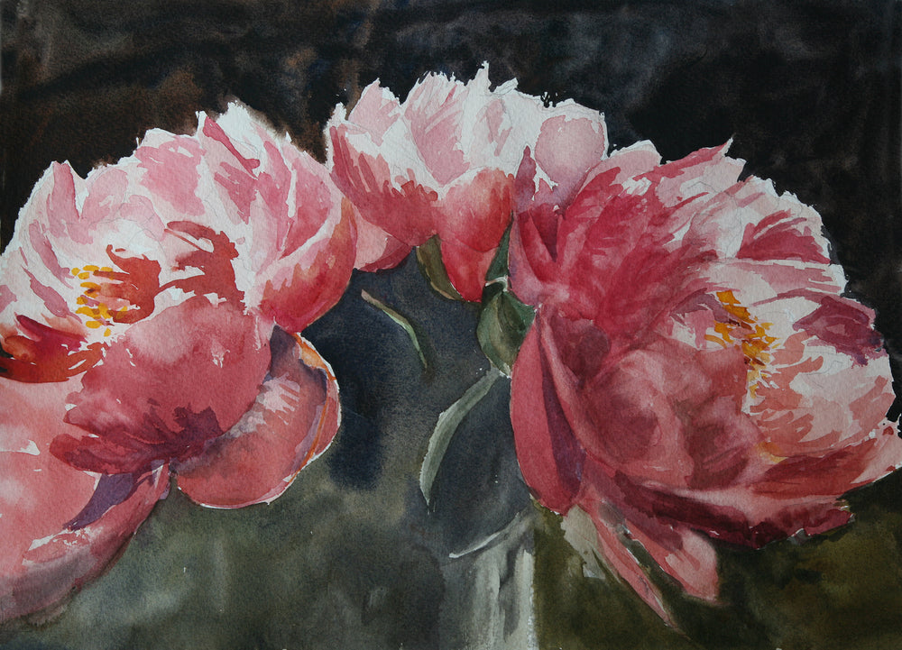 3 Peonies