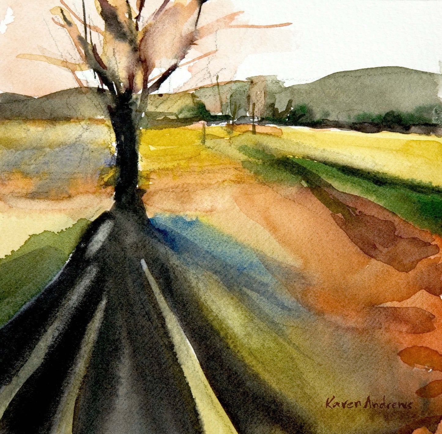 Tree Shadow
